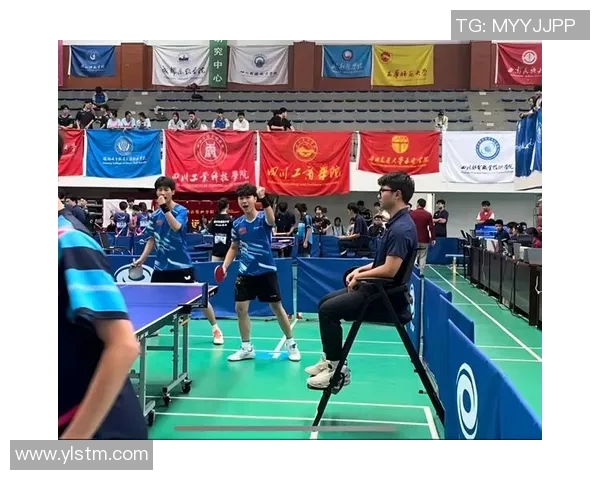 深入分析成都乒乓球队的进攻战术与技术特点